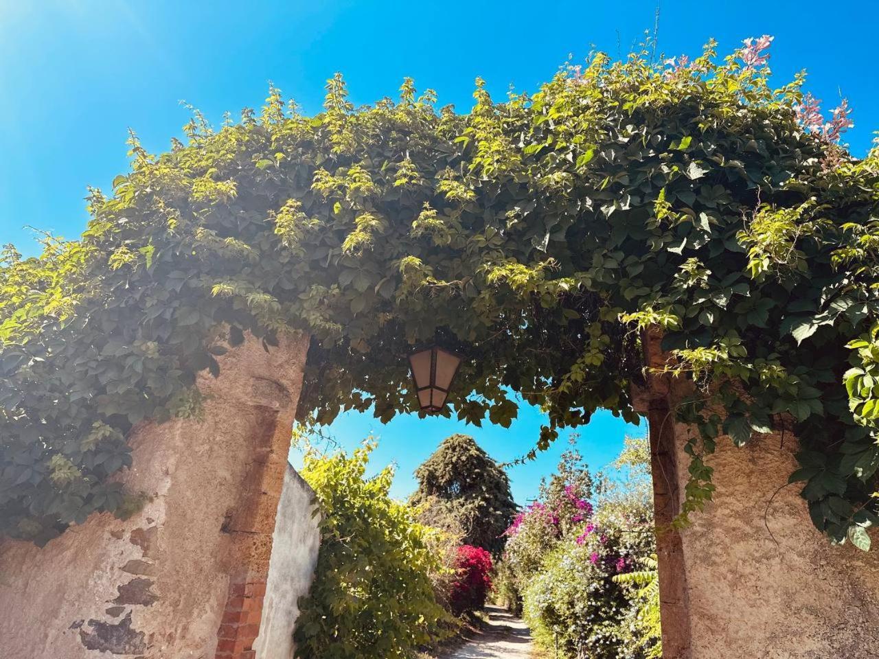 Villa Tiche Cefalu Exterior photo